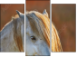 Trittico