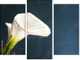 Trittico