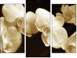 Trittico