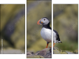Trittico