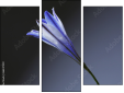 Trittico