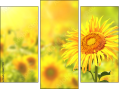 Trittico