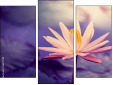 Trittico