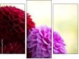 Trittico
