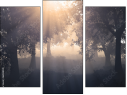 Trittico