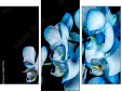 Trittico