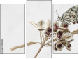 Trittico