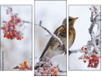 Trittico