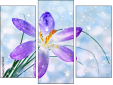 Trittico