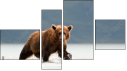Fortyk