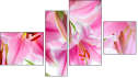 Fortyk
