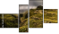 Fortyk