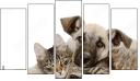 Pentaptych