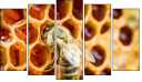 Pentaptych