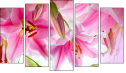 Pentaptych