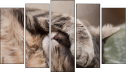 Pentaptych