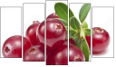 Pentaptych