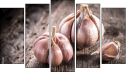 Pentaptych