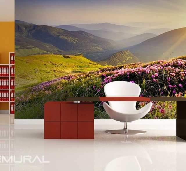 la mattina serena sulla collina carta da parati fotomurali ufficio fotomurali demural