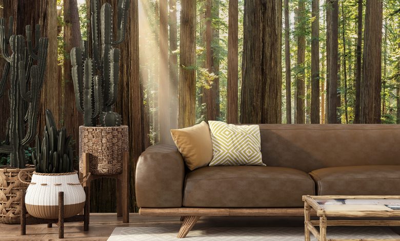 profondita di luce e pace nella foresta carte da parati bosco carte da parati demural