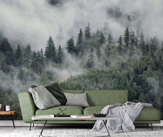 nebbia mattutina sul paesaggio boschivo carte da parati paesaggio carte da parati demural