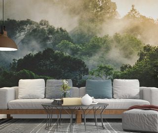 nebbia mattutina sulla foresta tropicale carte da parati salotto carte da parati demural
