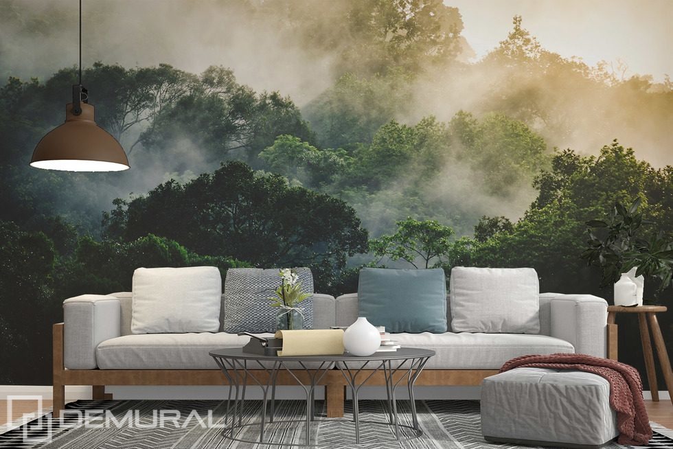 Nebbia mattutina sulla foresta tropicale Carte da parati salotto Carte da parati Demural