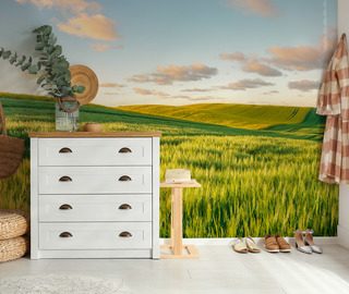 colline assolate al tramonto carte da parati paesaggio carte da parati demural