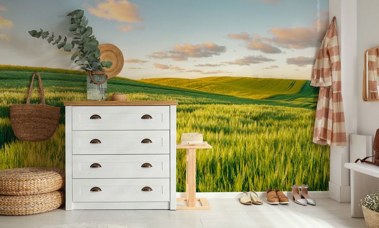 colline assolate al tramonto carte da parati paesaggio carte da parati demural