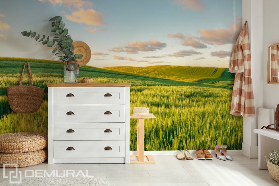 Colline assolate al tramonto Carte da parati paesaggio Carte da parati Demural