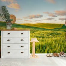 Colline-assolate-al-tramonto-carte-da-parati-paesaggio-carte-da-parati-demural