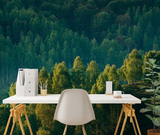 profondita della foresta con vista sugli alberi carte da parati paesaggio carte da parati demural