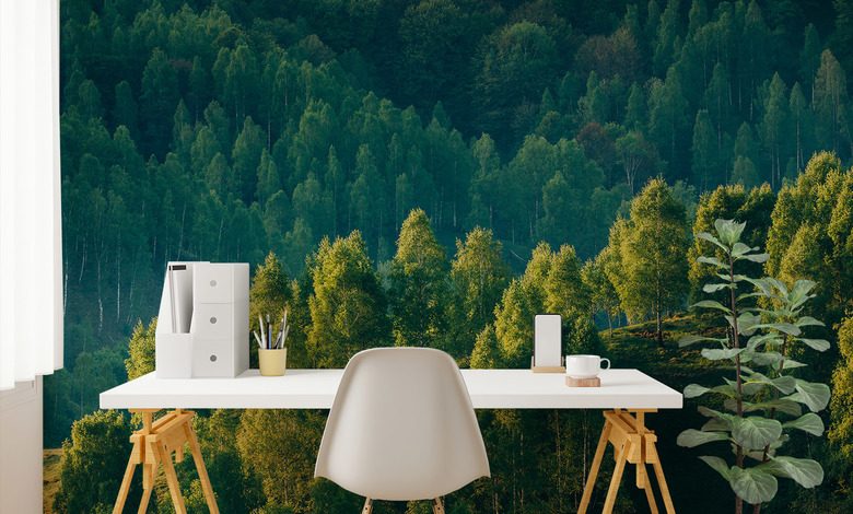 profondita della foresta con vista sugli alberi carte da parati paesaggio carte da parati demural