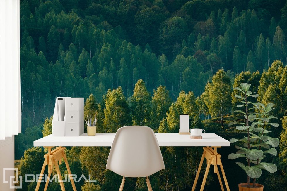 Profondità della foresta con vista sugli alberi Carte da parati paesaggio Carte da parati Demural