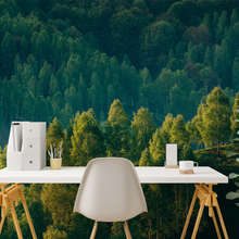 Profondita-della-foresta-con-vista-sugli-alberi-carte-da-parati-paesaggio-carte-da-parati-demural