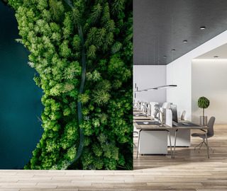 sentiero nel bosco lungo lacqua visto dallalto carte da parati ufficio carte da parati demural