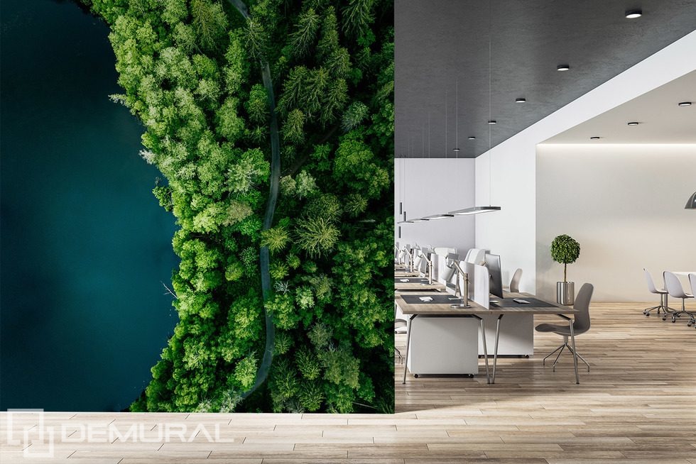 Sentiero nel bosco lungo l’acqua visto dall’alto Carte da parati ufficio Carte da parati Demural