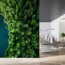 Sentiero-nel-bosco-lungo-lacqua-visto-dallalto-carte-da-parati-ufficio-carte-da-parati-demural