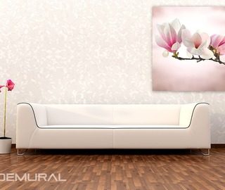 magnolia fiorente poster fiori poster demural