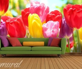 signor tulipano carte da parati fiori carte da parati demural