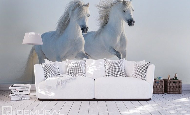 cavalli bianchi carte da parati animali carte da parati demural