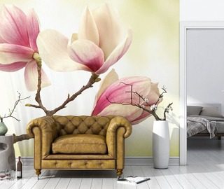 magnolia il livello piu alto della delicatezza carte da parati fiori carte da parati demural