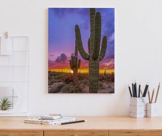 https://demural.it/system/photos/604/box/tramonto-sulla-valle-dei-cactus-quadri-per-lufficio-quadri-demural.jpg?1617173599